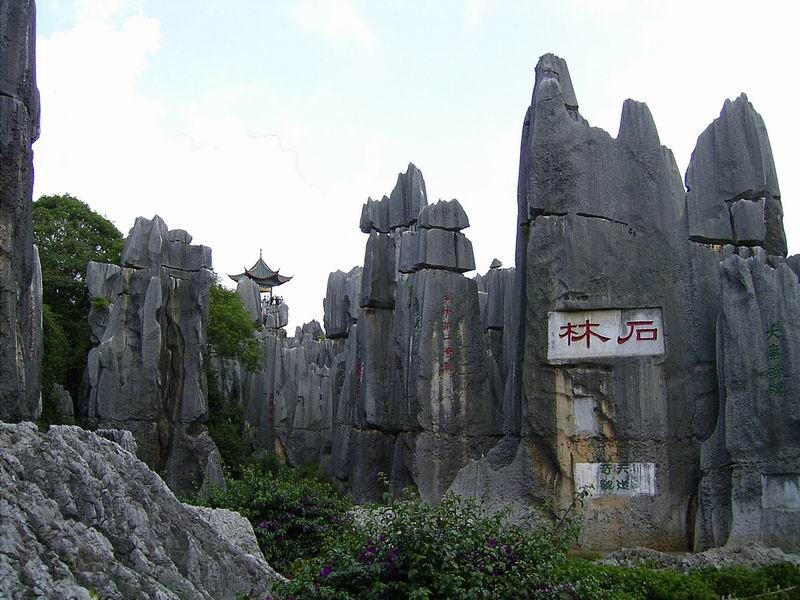 Stone Forest